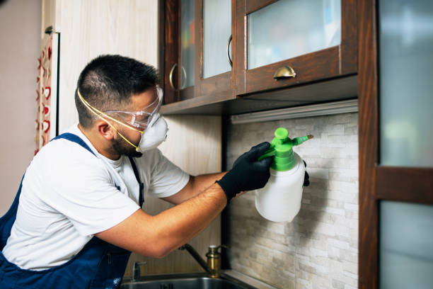 Best Bed Bug Extermination  in Point Baker, FL