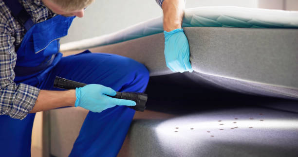 Best Emergency Pest Control  in Point Baker, FL