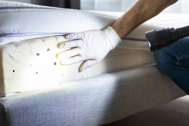 Best Pest Removal Services  in Point Baker, FL