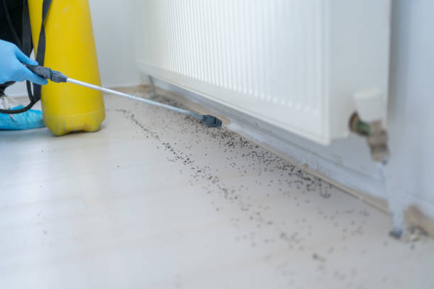 Best Wildlife Control Services  in Point Baker, FL
