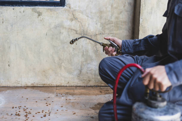 Wasp Removal Services in Point Baker, FL